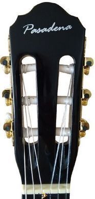 Классическая гитара Pasadena SC041 Black