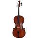 Скрипичный альт Gewa Georg Walther Viola 15,5'' RB