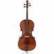 Віолончель Stentor SR1102 Cello Student I 3/4
