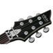 Електрогітара Schecter Damien Platinum-6 FR S SBK