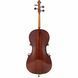 Віолончель Stentor SR1102 Cello Student I 3/4