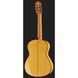 Классическая гитара Alhambra Green Sustain Flamenco w/Bag