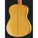 Классическая гитара Alhambra Green Sustain Flamenco w/Bag