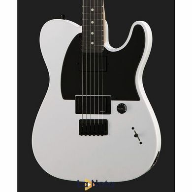 Електрогитара Fender Jim Root Telecaster Flat White