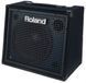 Комбоусилитель Roland KC200