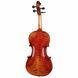 Акустическая скрипка Gewa Maestro 6 Antiqued Violin 4/4