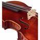 Акустическая скрипка Gewa Maestro 6 Antiqued Violin 4/4