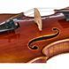 Акустическая скрипка Scala Vilagio R.O. Stradivari Eloge Violin