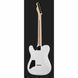 Електрогитара Fender Jim Root Telecaster Flat White