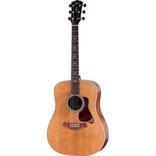 Електроакустична гітара Taylor Gold Label 810e
