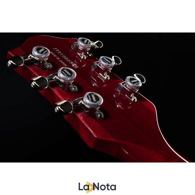 Електрогитара Gretsch G6119T-ET Pl.Ed. T.Rose ET DCS