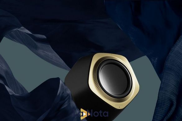 Сабвуфер Bang & Olufsen Beolab 19 AL2 Brass Tone/Black