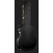 Електрогитара Gretsch G6119T-ET Pl.Ed. T.Rose ET DCS