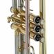 Труба Thomann TR 500 L Bb-Trumpet