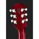 Електрогитара Gretsch G6119T-ET Pl.Ed. T.Rose ET DCS