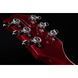 Електрогитара Gretsch G6119T-ET Pl.Ed. T.Rose ET DCS