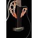 Напівакустична бас-гітара Harley Benton HBO-850 Bass Black