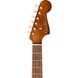 Електроакустична гітара Fender Malibu Player Natural