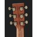 Акустическая гитара Furch LJ 10-CM EAS-VTC