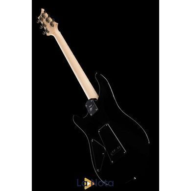 Електрогітара PRS Fiore Black Iris
