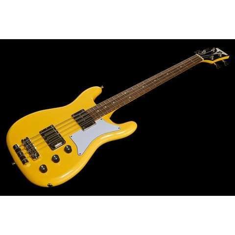 Epiphone Newport Bass купить в интернет-магазине LaNota