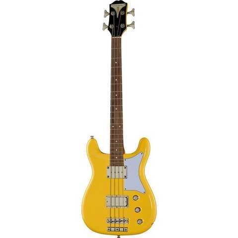 Epiphone Newport Bass купить в интернет-магазине LaNota