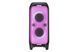 Портативна акустика Blaupunkt PB100X Black