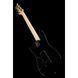 Електрогітара PRS Fiore Black Iris