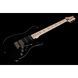 Електрогітара PRS Fiore Black Iris