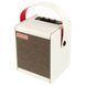 Комбоусилитель Positive Grid Spark Mini PW