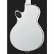 Електрогітара Duesenberg Starplayer TV Phonic VW