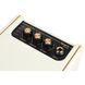 Комбоусилитель Positive Grid Spark Mini PW