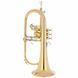 Флюгельгорн Yamaha YFH-631G