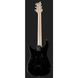 Електрогітара PRS Fiore Black Iris