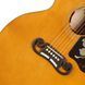 Акустична гітара Epiphone 1957 SJ-200 Rei. AN IBC