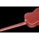 Напівакустична гітара Harley Benton B-25M Acoustic Bass