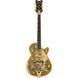 Gretsch G6134TG LTD Paisley Penguin GD