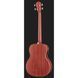 Напівакустична гітара Harley Benton B-25M Acoustic Bass