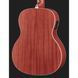 Напівакустична гітара Harley Benton B-25M Acoustic Bass