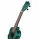 Укулеле Bumblebee Ukuleles BUC23 Concert Blue