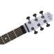 Електрогітара Evh Star LTD Ebony PGR