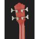 Напівакустична гітара Harley Benton B-25M Acoustic Bass
