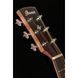 Акустическая гитара Ibanez AW54LCE-OPN