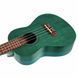 Укулеле Bumblebee Ukuleles BUC23 Concert Blue