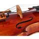 Скрипковий альт Eastman A. Eastman Viola VA405+ 15,5"