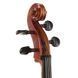 Виолончель Gewa Ideale VC2 Cello Set 1/2 CB