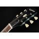 Електрогітара Epiphone Waxx Nighthawk Studio