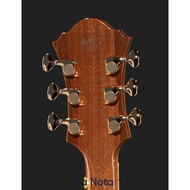 Електрогітара Ibanez PM200-NT Pat Metheny