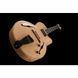 Електрогітара Ibanez PM200-NT Pat Metheny