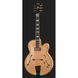 Електрогітара Ibanez PM200-NT Pat Metheny